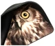 Коврик для мыши Dialog PM-H15 Owl вид 8