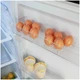 Холодильник Бирюса 6036, белый вид 8