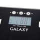 Весы напольные GALAXY GL 4850 вид 2
