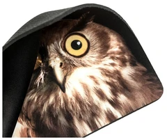 Купить Коврик для мыши Dialog PM-H15 Owl / Народный дискаунтер ЦЕНАЛОМ