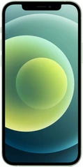 Купить Смартфон 6.1" Apple iPhone 12 64GB Green (PI) / Народный дискаунтер ЦЕНАЛОМ