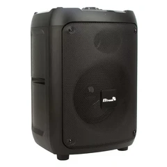 Купить Аудиосистема портативная Eltronic 20-40 CRAZY BOX 120 Black / Народный дискаунтер ЦЕНАЛОМ