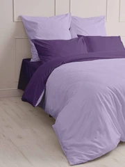 Купить Комплект постельного белья Шуйские ситцы Мастерская снов 11680, 2 спальный евро, поплин, наволочки 70х70 см / Народный дискаунтер ЦЕНАЛОМ