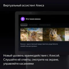 Купить Умная колонка Яндекс Станция Дуо Макс с Алисой с Zigbee 60 Вт черный / Народный дискаунтер ЦЕНАЛОМ