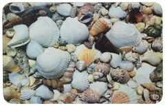 Купить Коврик Рыжий Кот Mat-Shell Ракушка, микрофибра, 50х80 см / Народный дискаунтер ЦЕНАЛОМ