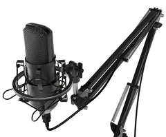 Купить Микрофон вокальный Ritmix RDM-169, черный / Народный дискаунтер ЦЕНАЛОМ
