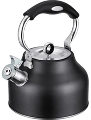 Купить Чайник Regent inox Linea TEA, 2.5 л, со свистком / Народный дискаунтер ЦЕНАЛОМ