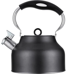Купить Чайник Regent inox Linea TEA, 2.5 л, со свистком / Народный дискаунтер ЦЕНАЛОМ
