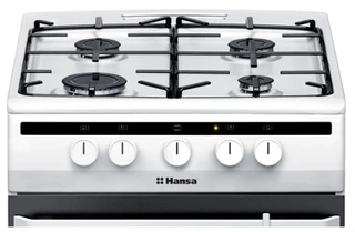 Плита газовая Hansa FCGW51001 