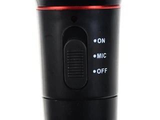 Микрофон Ritmix RWM-100 