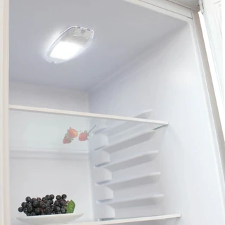 Холодильник Бирюса 118, белый 