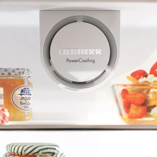 Холодильник Liebherr CTPesf 3016 