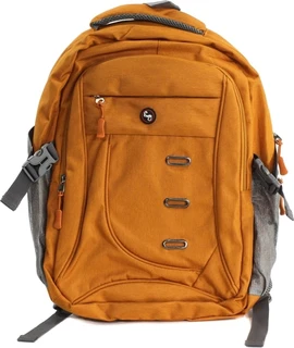 Рюкзак для ноутбука 15.6" Envy Street оранжевый 