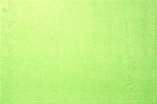 Полотенце Донецкая Мануфактура POSEIDON салатовый 70х130 см, махра 