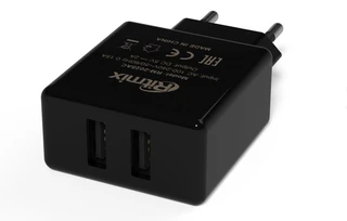 Сетевое зарядное устройство Ritmix RM-2025AC черный 