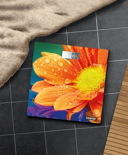 Весы напольные CENTEK CT-2420 