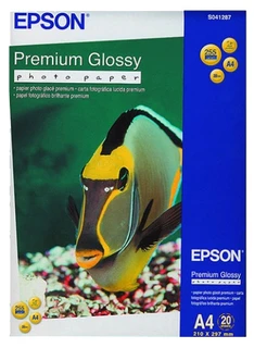 Фотобумага глянцевая Epson Premium Glossy Photo Paper, 20 листов (C13S041287)