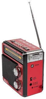 Радиоприемник Ritmix RPR-202 