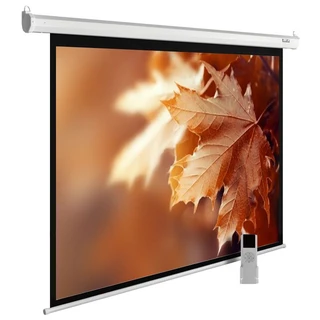 Экран Cactus MotoExpert CS-PSME-300x188-WT 