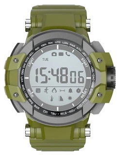 Смарт-часы JET Sport SW-3 серый / зеленый 