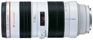 Объектив Canon EF USM (2569A018)