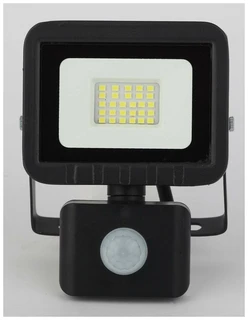 Прожектор уличный ЭРА LPR-041-2-65K-020 