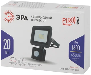 Прожектор уличный ЭРА LPR-041-2-65K-020 