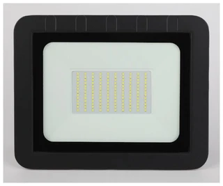 Прожектор уличный ЭРА LPR-061-0-65K-100 