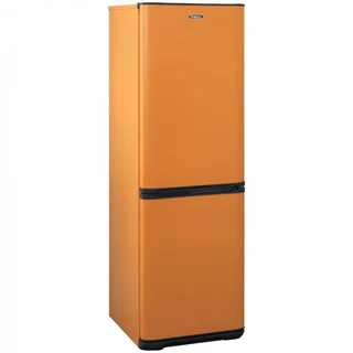 Холодильник Бирюса T633 