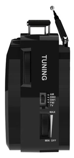 Радиоприемник Ritmix RPR-190, черный 