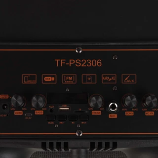 Минисистема Telefunken TF-PS2306 