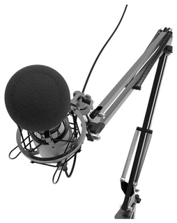 Микрофон вокальный Ritmix RDM-180 