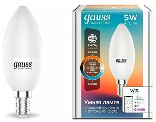 Умная лампа Gauss IoT Smart Home 1110112