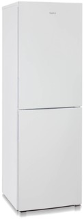 Холодильник Бирюса 6031 