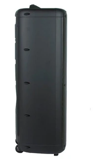 Колонка портативная Eltronic 20-16 Dance Box 300 