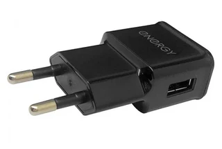 Сетевое зарядное устройство Energy ET-09 