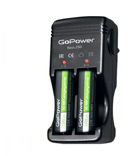 Зарядное устройство GoPower Basic 250 