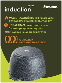 Кастрюля Мечта Гранит Star Induction Pro, 3 л 