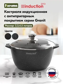 Кастрюля Мечта Гранит Black Induction Pro, 4 л 