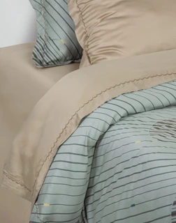 Комплект постельного белья АРТПОСТЕЛЬ Ребекка 2-спальный Евро, тенсел, наволочки: 50х70 см - 2 шт, 70х70 см - 2 шт 