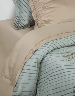 Комплект постельного белья АРТПОСТЕЛЬ Ребекка Евро-4, тенсел, наволочки: 50х70 см - 2 шт, 70х70 см - 2 шт 