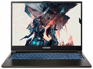 Ноутбук 16" HASEE T8-DA9NT 
