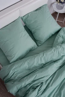 Комплект постельного белья Миланика Палитра Фисташка, 2 спальный евро, поплин, наволочки 70х70 см 