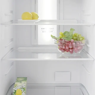 Холодильник Бирюса 980NF, белый 