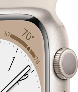 Смарт-часы Apple Watch 45mm Series 8 