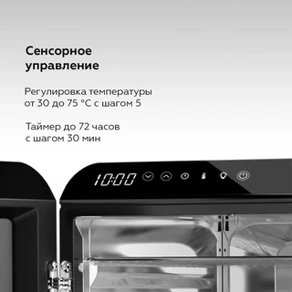 Сушка для овощей и фруктов BQ FD1006, черный 