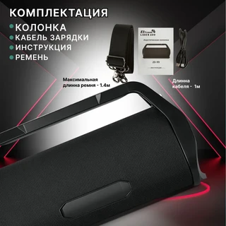 Колонка портативная Eltronic 20-99 Lider 600 