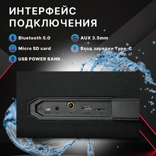 Колонка портативная Eltronic 20-99 Lider 600 