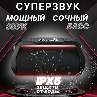 Колонка портативная Eltronic 20-99 Lider 600 