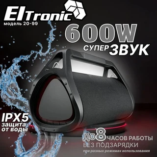 Колонка портативная Eltronic 20-99 Lider 600 